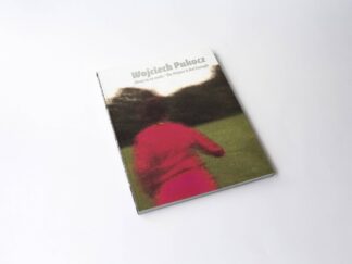 Wojciech Pukocz. The Picture Is Not Enough